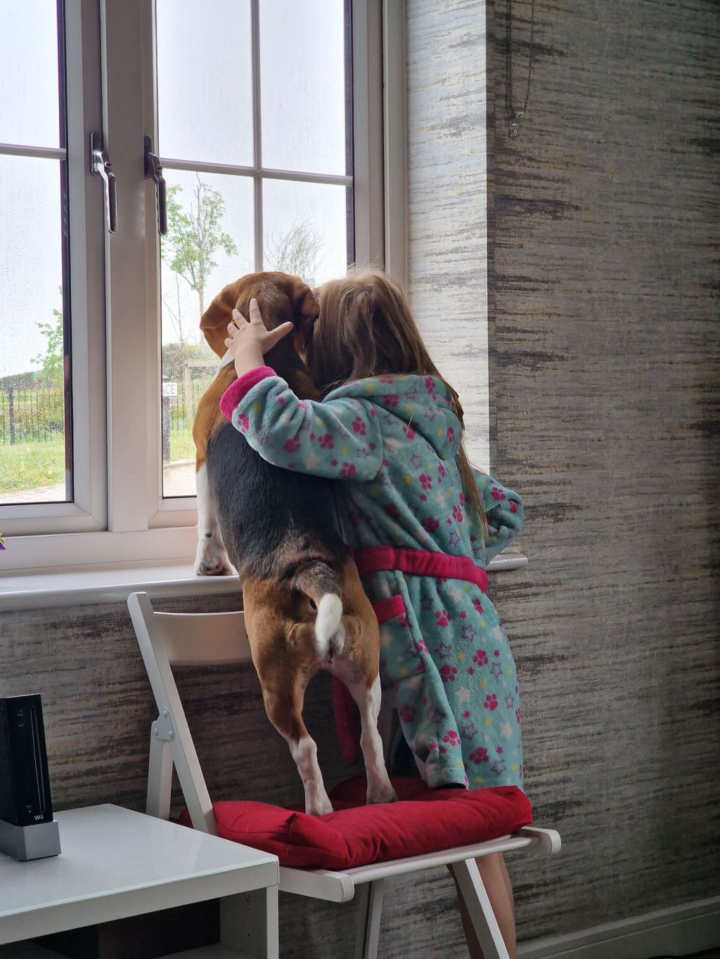 Cum să-ți aduci blănosu’&nbsp;lătrător